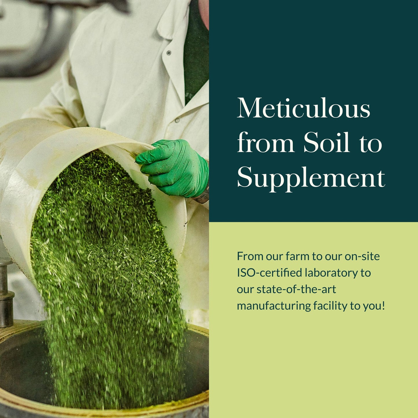 Gaia Herbs Vitex Berry - Supports Hormone Balance & Fertility in Women - 60 Vegan Liquid Phyto-Capsules (30-Day Supply)