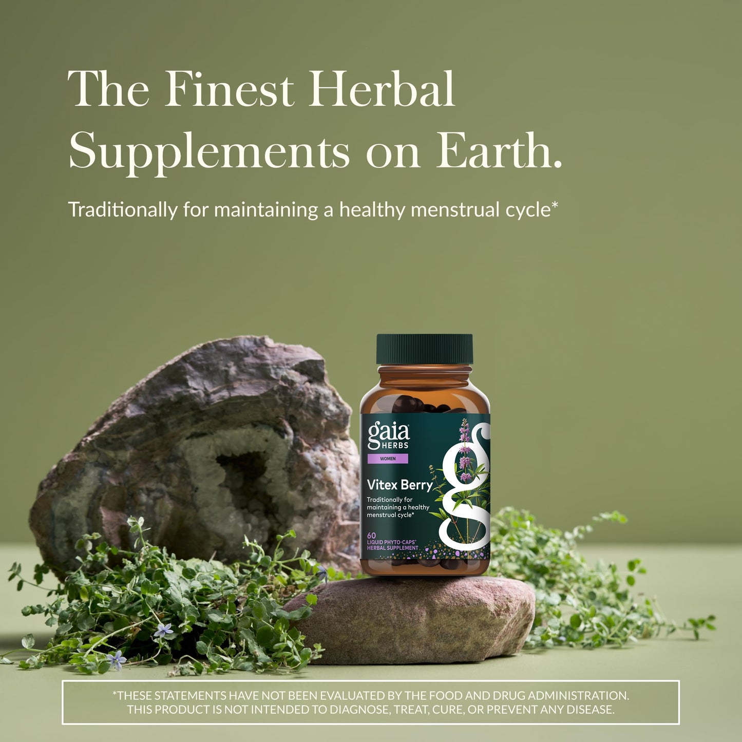 Gaia Herbs Vitex Berry - Supports Hormone Balance & Fertility in Women - 60 Vegan Liquid Phyto-Capsules (30-Day Supply)