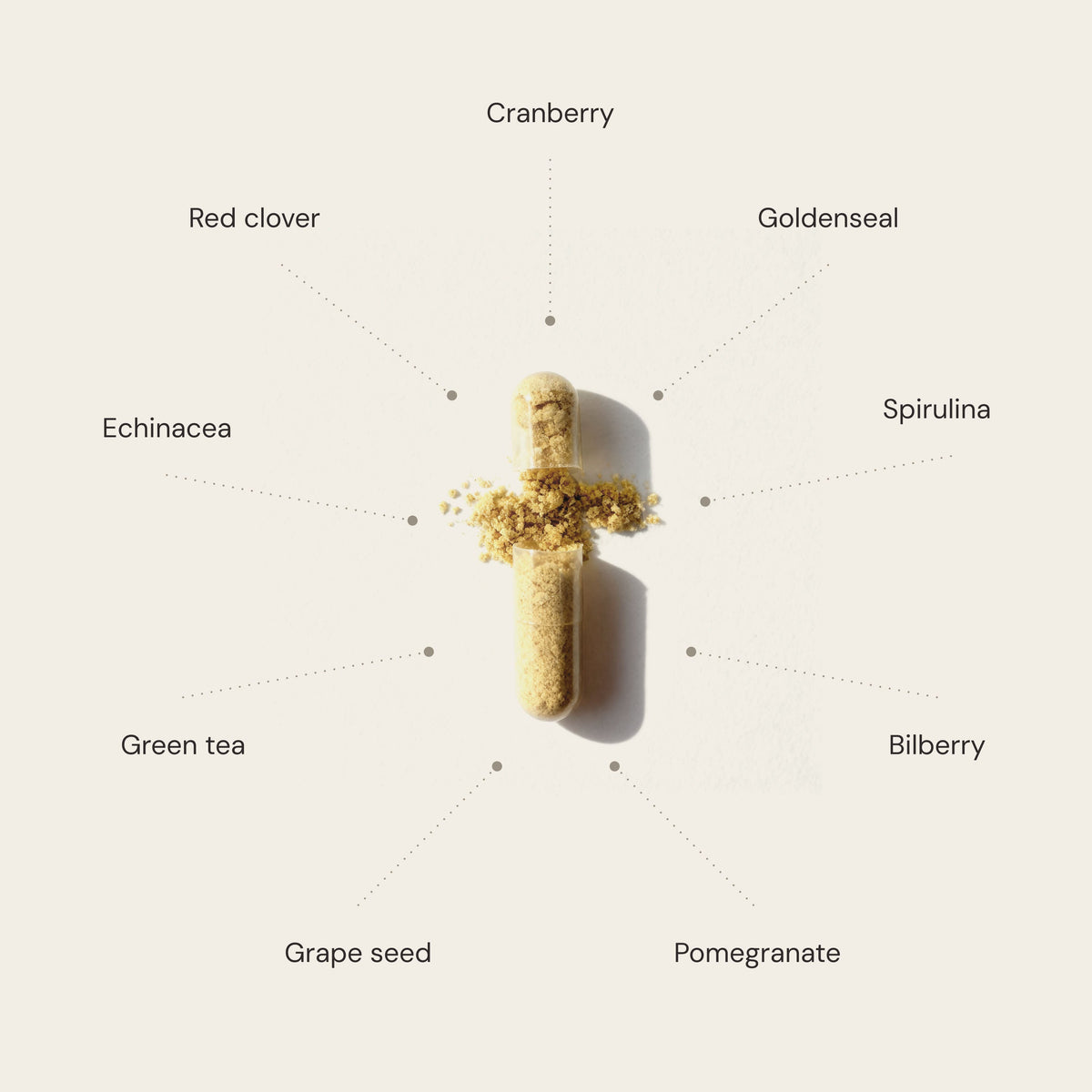 Women's Vitality Multivitamin